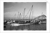 Zarooks in the water off Ma'alla beach by Alan Villiers