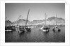 Zarooks and sambuks ride at anchor, Ma'alla, Aden by Alan Villiers