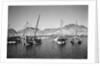 Zarooks and sambuks ride at anchor, Ma'alla, Aden by Alan Villiers