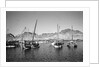 Zarooks and sambuks ride at anchor, Ma'alla, Aden by Alan Villiers