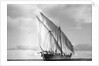 The 'Triumph of Righteousness' sailing high out of the water by Alan Villiers