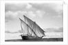 A lightly laden boom sailing towards Rufiji by Alan Villiers