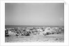 General view of Jizan by Alan Villiers