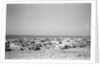 General view of Jizan by Alan Villiers