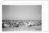 General view of Jizan by Alan Villiers