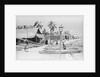 Lamu waterfront by Alan Villiers
