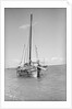 Typical Lamu dhow at anchor by Alan Villiers