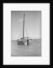Typical Lamu dhow at anchor by Alan Villiers