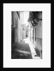 Picturesque street in Lamu by Alan Villiers