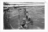 Pearl divers in the water by Alan Villiers