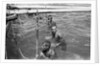 Pearl divers in the water by Alan Villiers