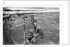 Pearl divers in the water by Alan Villiers
