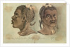 The Head-dress of the Jolliffes, Gum Coast, Africa by Gabriel Bray