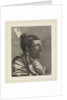 Head of a New Zealander, with a comb in his hair by Sydney Parkinson