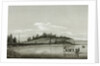 Naval launch approaching a shoreline covered with fir trees by unknown