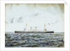 Ringarooma (class) 1889 by J.R.D.