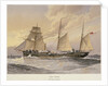HMS 'Thrush', First class gunboat by W. Fred Mitchell