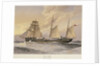 HMS 'Thrush', First class gunboat by W. Fred Mitchell