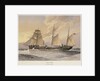 HMS 'Thrush', First class gunboat by W. Fred Mitchell