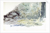Underwater view of a shoal of fish by William Lionel Wyllie