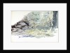 Underwater view of a shoal of fish by William Lionel Wyllie