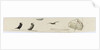 Seabirds by William Lionel Wyllie