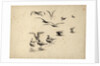 Seabirds standing in water and in flight by William Lionel Wyllie