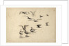 Seabirds standing in water and in flight by William Lionel Wyllie