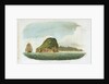 The Islands Redonda and Nevis in the West Indies by G.T.