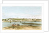 Exmouth from the Warren Point by W. Spreat