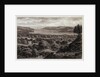 View from Nunwell Down by George Brannon