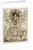 Don Constantin de Bragance by unknown