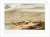 Admiralty House - Entrance to Simon's Town by Thomas William Bowler