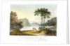 View of Markham Cove by Rufane Shawe Donkin