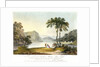 View of Markham Cove by Rufane Shawe Donkin