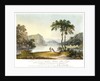 View of Markham Cove by Rufane Shawe Donkin