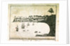 Fernando Po, Africa by C. Jones