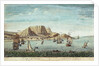 The Cape of Good Hope by Jan van Ryne