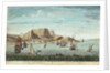 The Cape of Good Hope by Jan van Ryne