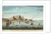 The Cape of Good Hope by Jan van Ryne