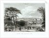 London from Greenwich Park by Read