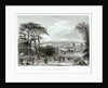 London from Greenwich Park by Read