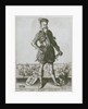 Robert Dudley, 1st Earl of Leicester (1532-1588) by Cornelis van Sichem