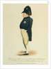 Napoleon Bonaparte by unknown