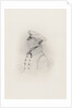 Lieutenant William Rivers (1788-1856) by unknown