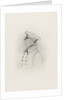 Lieutenant William Rivers (1788-1856) by unknown