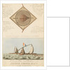A Correct Plan and Elevation of the Famous French Raft by British School