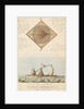 A Correct Plan and Elevation of the Famous French Raft by British School