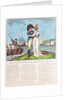 The Sailor's Journal. Sung by Mr Incledon at Covent Garden Theatre, &c by Robert Laurie & James Whittle
