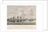 Plan of St Lucia in the West Indies, December 1778 by Antoine Suntache